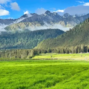 Lulang forest scenery in Nyingchi Tibet