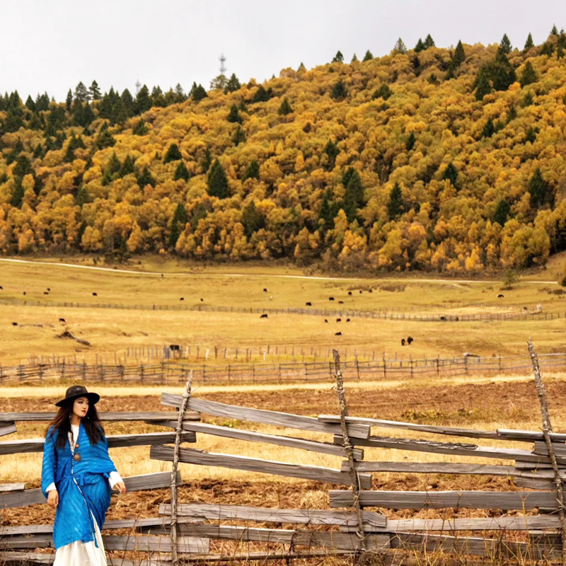 Lulang Forest in Tibet Autumn Tour