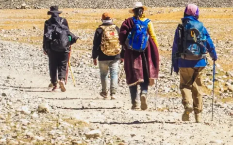 Pilgrims trekking the Mount Kailash kora